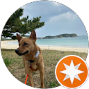 はましょう profile picture